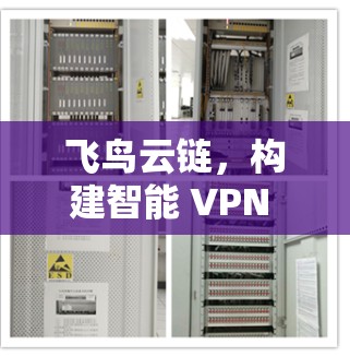 飞鸟云链,构建智能 VPN 网络 飞鸟云链,构建智能 VPN 网络