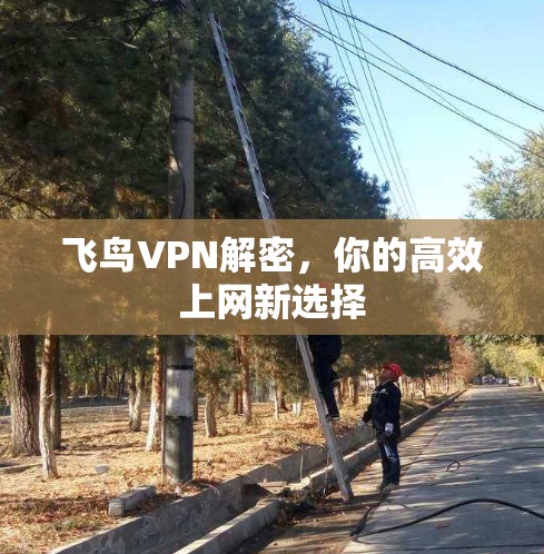 飞鸟VPN解密,你的高效上网新选择 飞鸟VPN解密,你的高效上网新选择