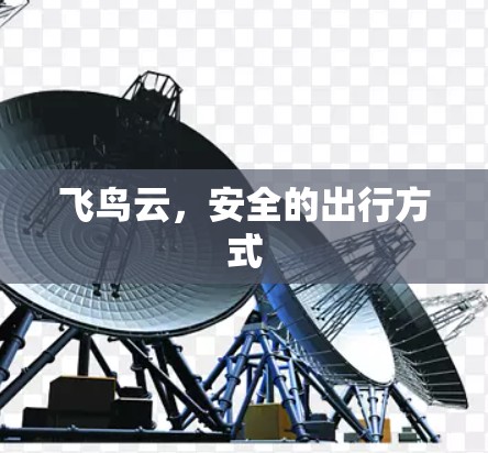 飞鸟云,安全的出行方式 飞鸟云,安全的出行方式