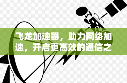 飞龙加速器，助力网络加速，开启更高效的通信之旅