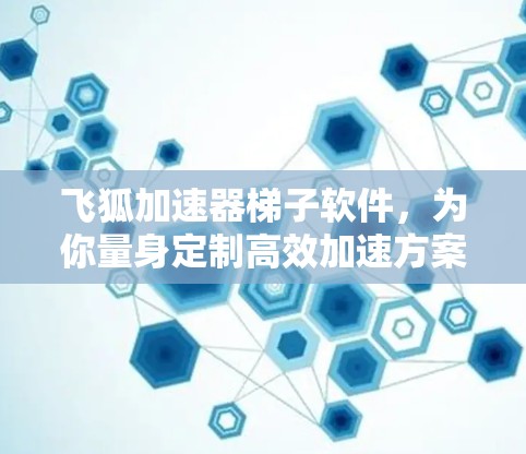 飞狐加速器梯子软件，为你量身定制高效加速方案