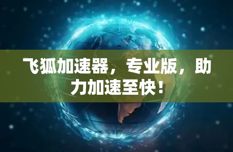 飞狐加速器,专业版,助力加速至快! 飞狐加速器,专业版,助力加速至快!
