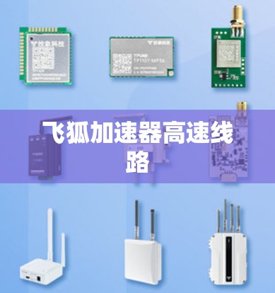 飞狐加速器高速线路 飞狐加速器高速线路