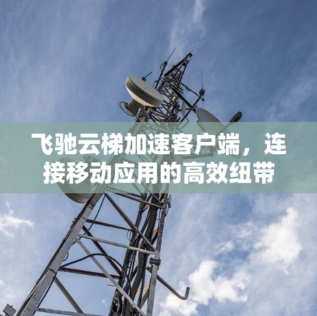 飞驰云梯加速客户端,连接移动应用的高效纽带 飞驰云梯加速客户端,连接移动应用的高效纽带