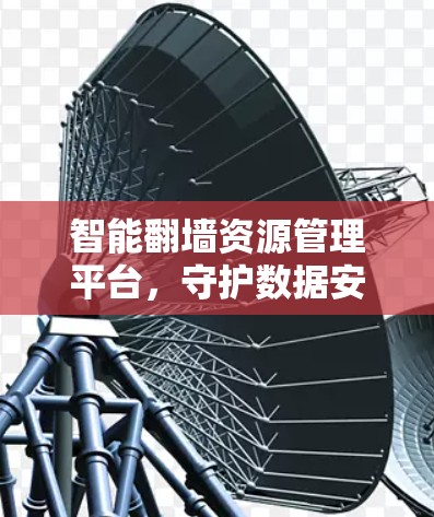 智能翻墙资源管理平台,守护数据安全的智慧之网 智能翻墙资源管理平台,守护数据安全的智慧之网