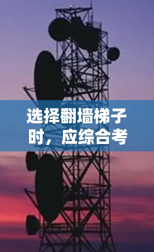 选择翻墙梯子时,应综合考虑多个因素,确保网络的安全与高效。以下是一个结构化的步骤指南 选择翻墙梯子时,应综合考虑多个因素,确保网络的安全与高效。以下是一个结构化的步骤指南