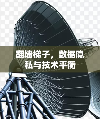 翻墙梯子,数据隐私与技术平衡 翻墙梯子,数据隐私与技术平衡