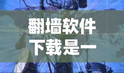 翻墙软件下载是一个非常实用的工具，可以帮助你在没有物理墙的情况下访问网络。以下是一些常见的翻墙软件下载网站和推荐资源，供你参考