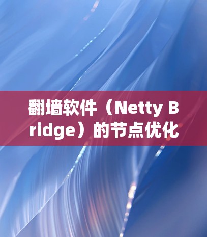 翻墙软件（Netty Bridge）的节点优化是确保网络安全和性能的关键步骤。以下是一些优化技巧，帮助您更好地管理节点，提升翻墙软件的性能和安全性