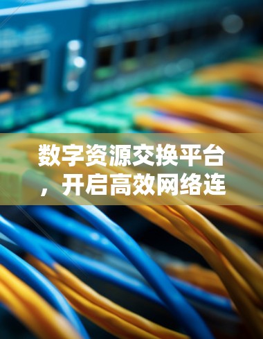数字资源交换平台,开启高效网络连接 数字资源交换平台,开启高效网络连接