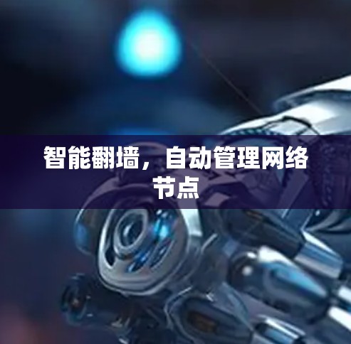 智能翻墙,自动管理网络节点 智能翻墙,自动管理网络节点