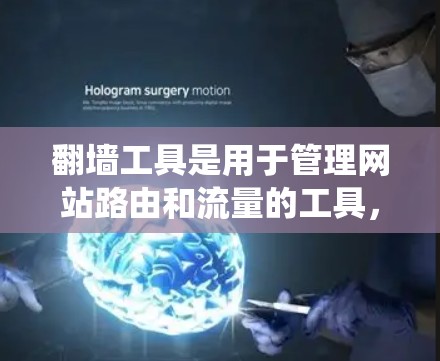 翻墙工具是用于管理网站路由和流量的工具,旨在帮助用户优化网站性能并保护数据安全。以下是从功能模块划分、用户界面设计、权限管理、安全保护和扩展性等方面对翻墙工具进行的系统总结 翻墙工具是用于管理网站路由和流量的工具,旨在帮助用户优化网站性能并保护数据安全。以下是从功能模块划分、用户界面设计、权限管理、安全保护和扩展性等方面对翻墙工具进行的系统总结