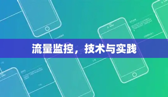 流量监控,技术与实践 流量监控,技术与实践