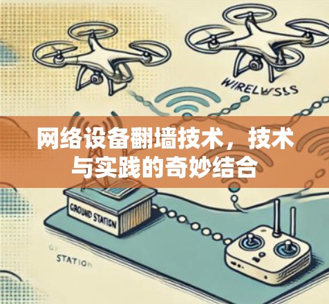 网络设备翻墙技术，技术与实践的奇妙结合