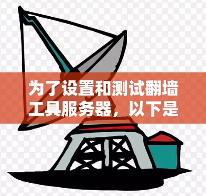 为了设置和测试翻墙工具服务器，以下是详细的步骤指南