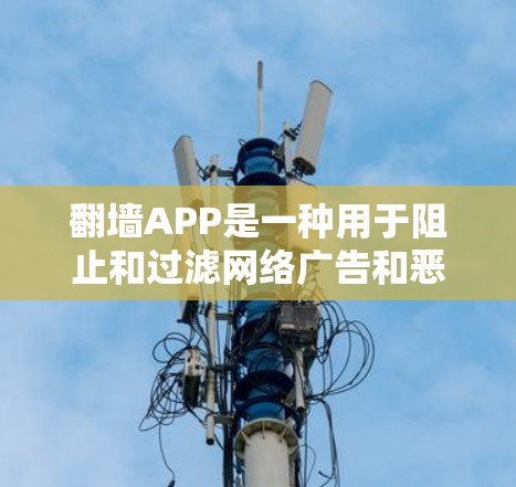 翻墙APP是一种用于阻止和过滤网络广告和恶意软件的工具，可以帮助您提升网络安全。以下是使用翻墙APP的指南