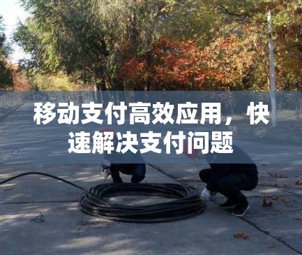 移动支付高效应用,快速解决支付问题 移动支付高效应用,快速解决支付问题