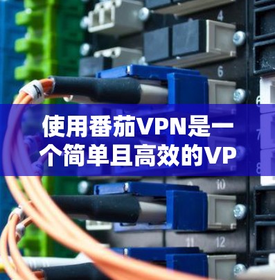 使用番茄VPN是一个简单且高效的VPN解决方案,旨在保护个人隐私并减少网络感染的风险。以下是一步步的使用指南 使用番茄VPN是一个简单且高效的VPN解决方案,旨在保护个人隐私并减少网络感染的风险。以下是一步步的使用指南