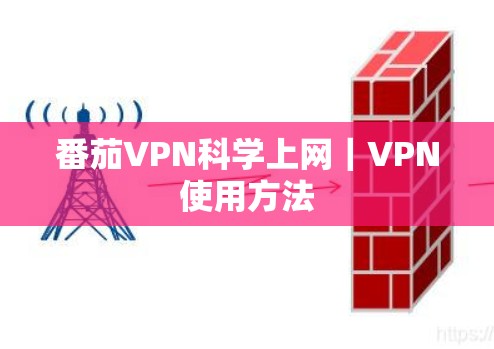 番茄VPN科学上网|VPN使用方法 番茄VPN科学上网|VPN使用方法