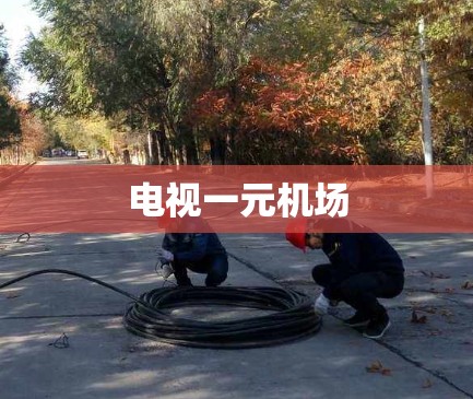 电视一元机场 电视一元机场