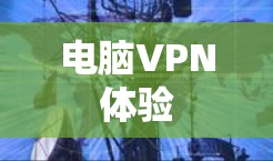 电脑VPN体验 电脑VPN体验
