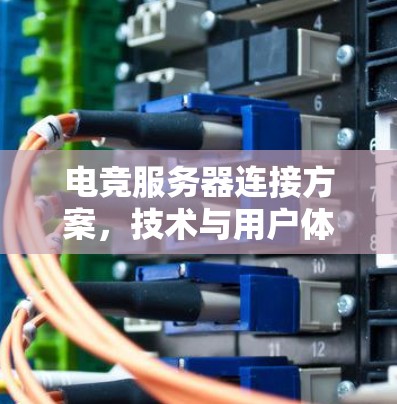 电竞服务器连接方案,技术与用户体验的完美结合 电竞服务器连接方案,技术与用户体验的完美结合
