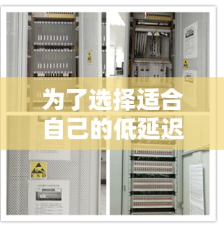 为了选择适合自己的低延迟游戏VPN软件,以下是一些关键点和建议 为了选择适合自己的低延迟游戏VPN软件,以下是一些关键点和建议