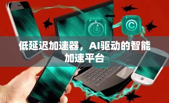 低延迟加速器，AI驱动的智能加速平台