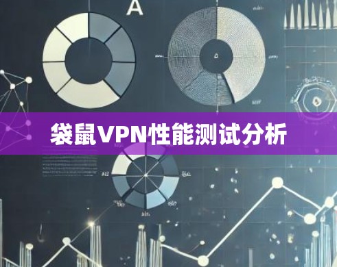 袋鼠VPN性能测试分析