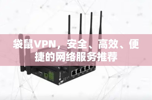 袋鼠VPN,安全、高效、便捷的网络服务推荐 袋鼠VPN,安全、高效、便捷的网络服务推荐