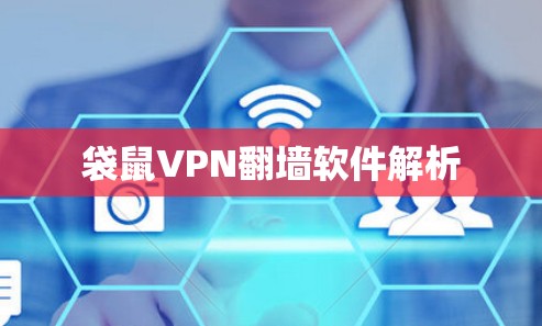 袋鼠VPN翻墙软件解析