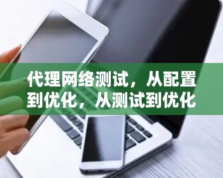 代理网络测试，从配置到优化，从测试到优化的全面评估