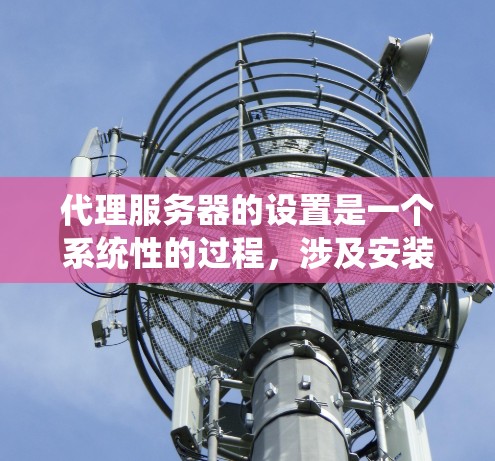 代理服务器的设置是一个系统性的过程,涉及安装、配置、监控和管理多个步骤。以下是一个详细的步骤指南,帮助您顺利完成代理服务器的设置