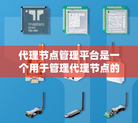 代理节点管理平台是一个用于管理代理节点的工具,支持分布式系统和容器环境。以下是对该领域的一些关键点的总结和解释