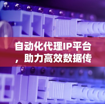 自动化代理IP平台,助力高效数据传输与安全防护