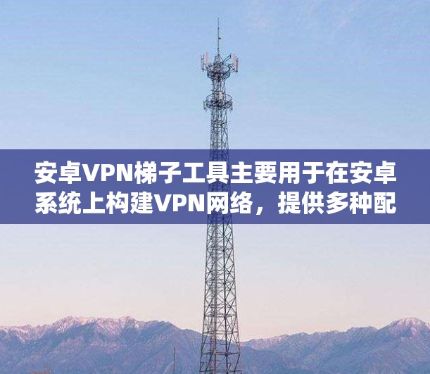 安卓VPN梯子工具主要用于在安卓系统上构建VPN网络,提供多种配置选项,以便用户在不同环境下个性化设置。以下是使用安卓VPN梯子工具的步骤 安卓VPN梯子工具主要用于在安卓系统上构建VPN网络,提供多种配置选项,以便用户在不同环境下个性化设置。以下是使用安卓VPN梯子工具的步骤
